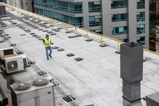 Best Roof Insulation Installation  in Saranap, CA