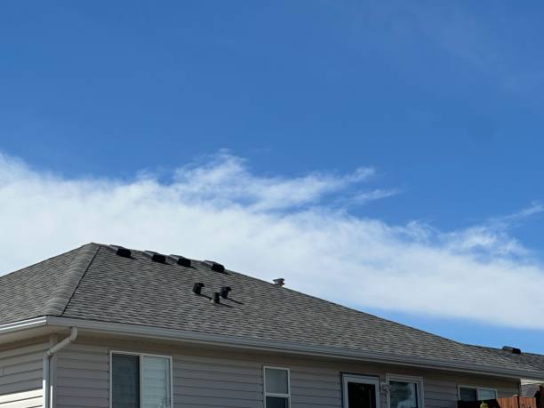 Best Hot Roofs  in Saranap, CA